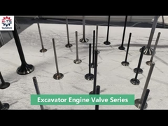 Motor Giriş Egzoz Valfi 191-6760 1916760 266-8718 2668718 3508 Motor Valfi