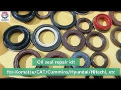 Yağ mühürleri onarım kiti - Boom cyl kit/Bucket cyl kit/Arm cyl kit