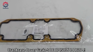 1745816 Valf Kapağı Contası