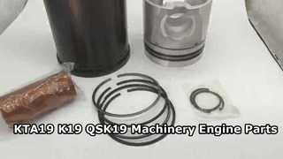 KTA19 K19 QSK19 Makine Motor Parçaları KTA19 Liner 4308809