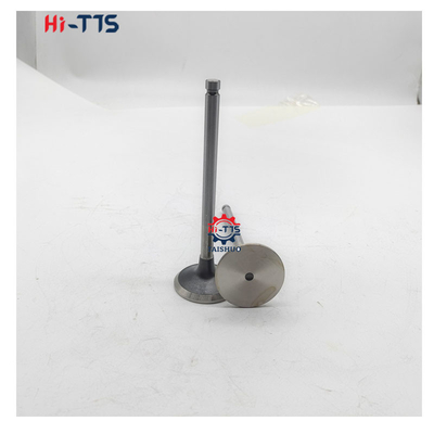 6BT 4BT Dizel motor yedek parçaları 3901117 3920867 3920868
