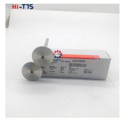 İyi bir fiyat. 4BT 6BT 6D102 Dizel motorlar için giriş valfi Egzoz valfi 4995554 3901117 3920867 3920868 çevrimiçi