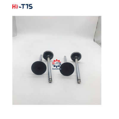 D2366 Dizel motor yedek parçaları giriş valfi 6504101-0044