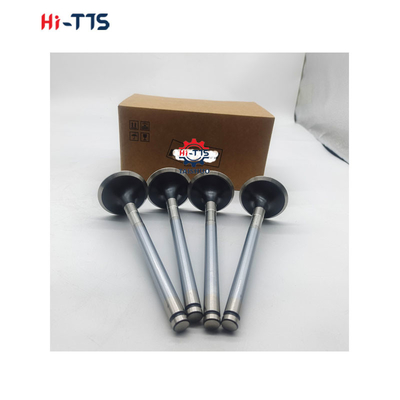 D2366 Dizel motor yedek parçaları giriş valfi 6504101-0044
