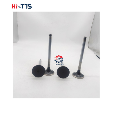 D2366 Dizel motor yedek parçaları giriş valfi 6504101-0044
