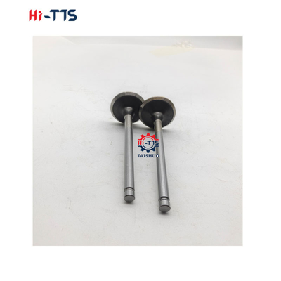 6BT 4BT Dizel motor yedek parçaları 3901117 3920867 3920868
