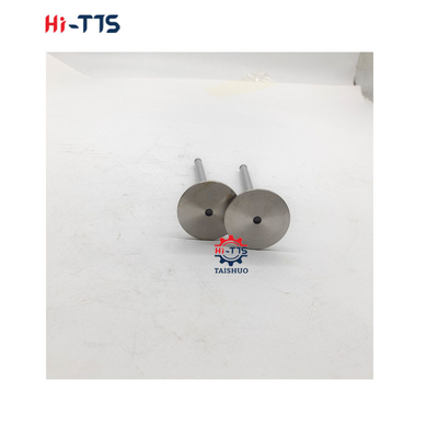 6BT 4BT Dizel motor yedek parçaları 3901117 3920867 3920868
