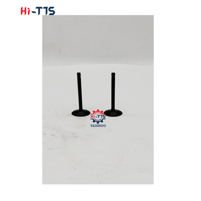 C4.4 C6.6 C7.1 Motor Giriş Valfi ve Egzoz Valfi 339-9637 3399637 276-8124 2768124