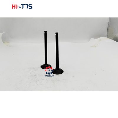 Yüksek Kaliteli 6D16 Motor Valvu ME031937 ME031939 ME031558