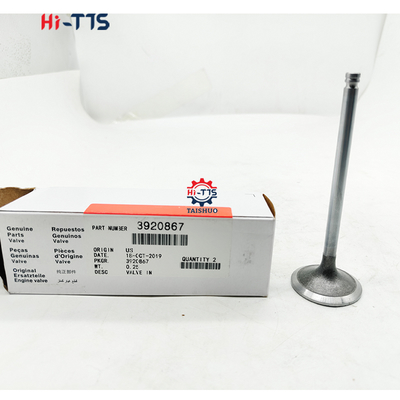 İyi bir fiyat. 6BT 3920867 Satış Sonrası Ekskavatör Motor Valfleri Egzoz Valfi Valfler çevrimiçi