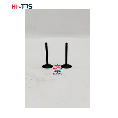 Ekskavatör 312D 313D 315D 316D M313D M315D M316D için Mühendislik Makine Parçaları VANA C4.4 C6.6 C7.1 339-9637